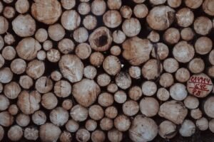 global verification activity log identifiers