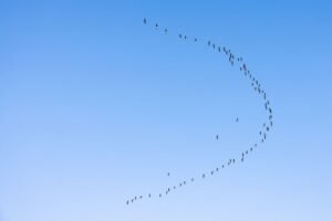 helix vertex synchronization identifiers